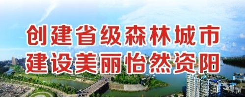 操美国大骚货视频创建省级森林城市 建设美丽怡然资阳